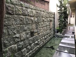 Serangoon Garden Estate (D19), Semi-Detached #432609301